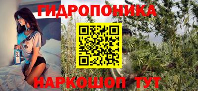 твердый Бердск