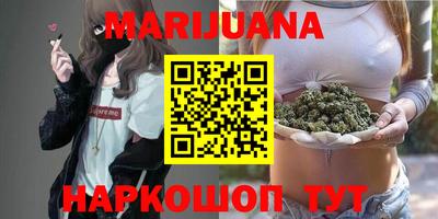 твердый Бердск