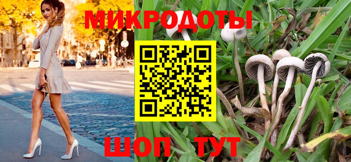 дарнет шоп  Псилоцибиновые грибы прущие грибы  Псилоцибиновые грибы Psilocybe  Вход с VPN  Бийск 