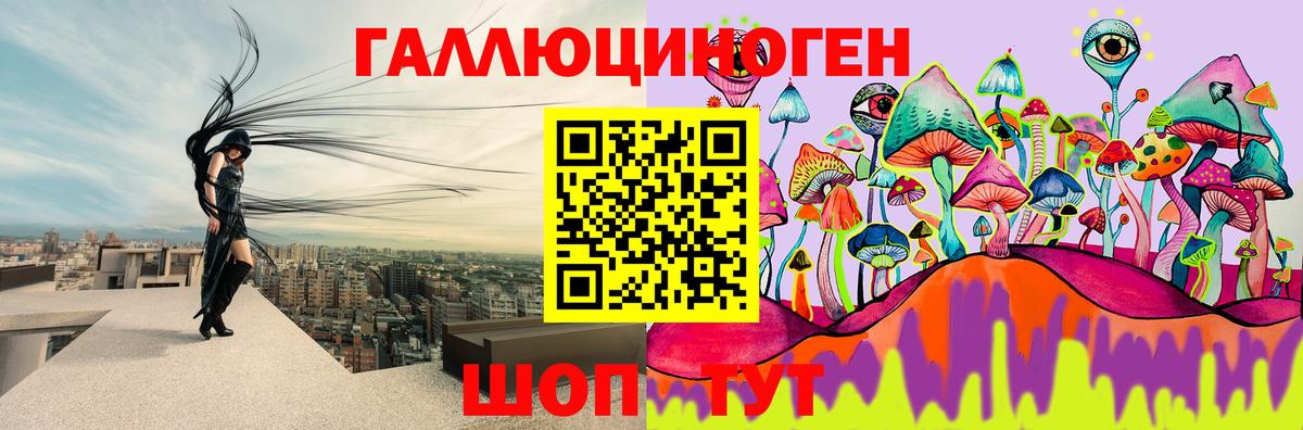 Галлюциногенные грибы прущие грибы Бийск
